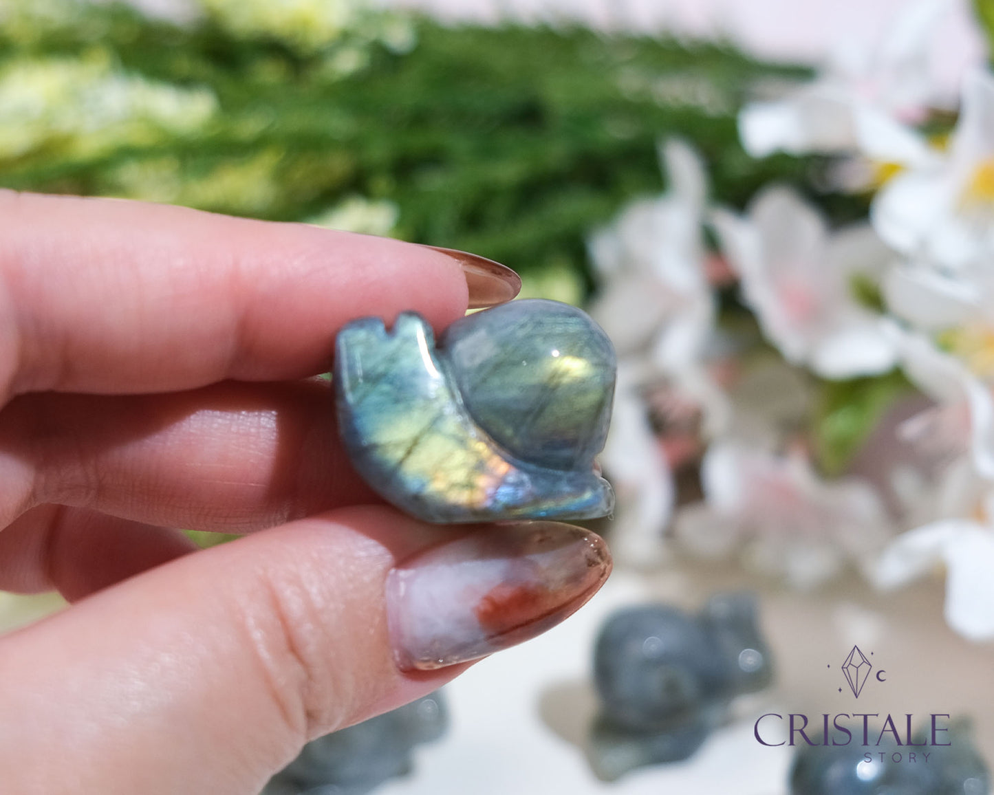 Labradorite Snail