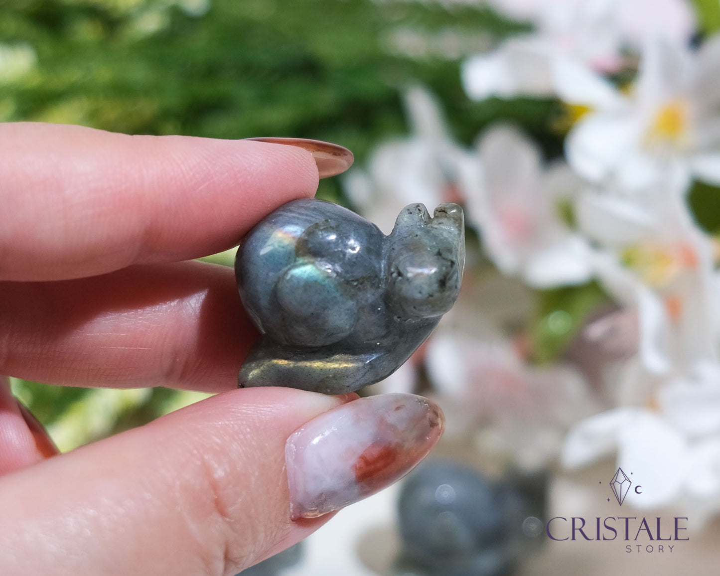 Labradorite Snail