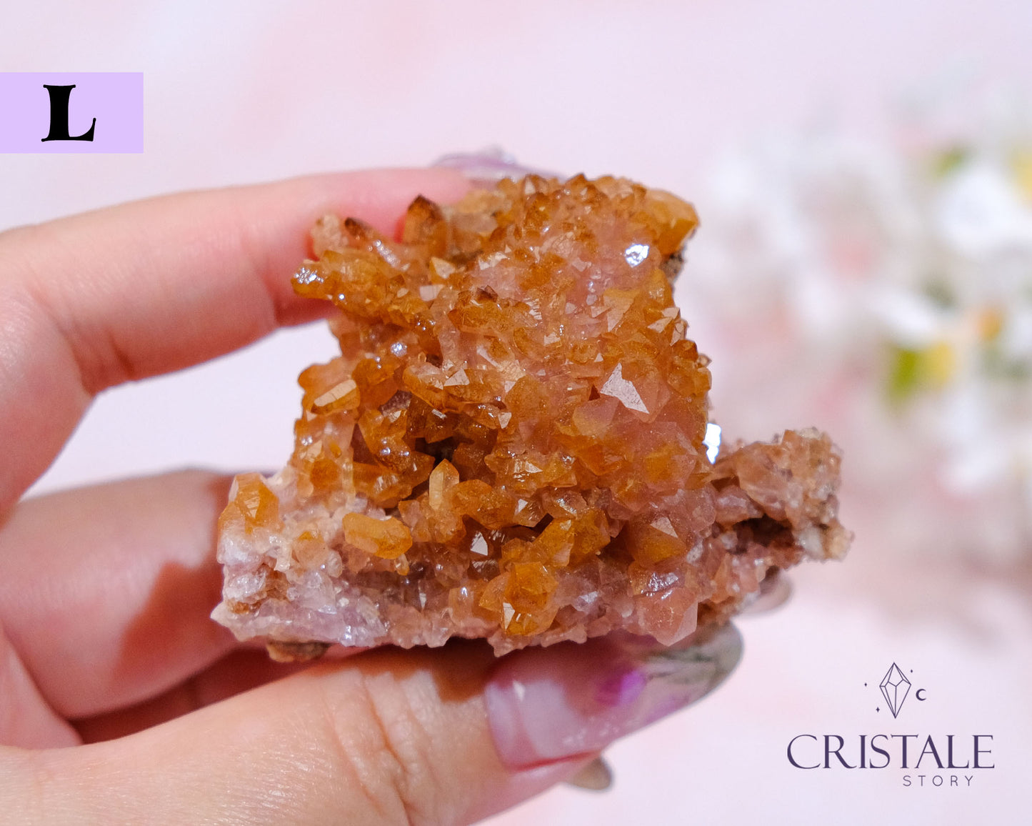 Raw Pink Amethyst Geode (Argentina)