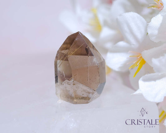 Rutilated Quartz Mini Point #F