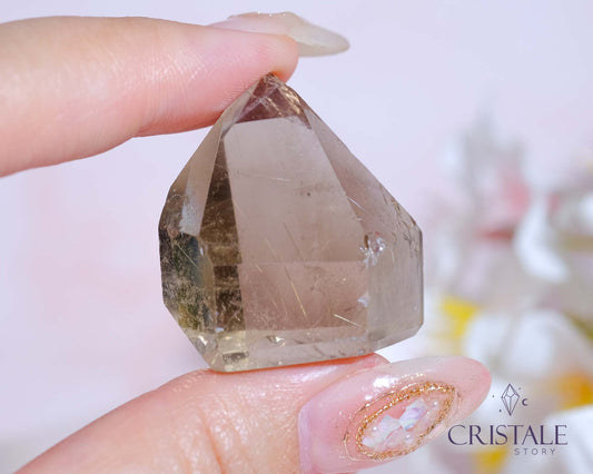 Rutilated Quartz Mini Point #H