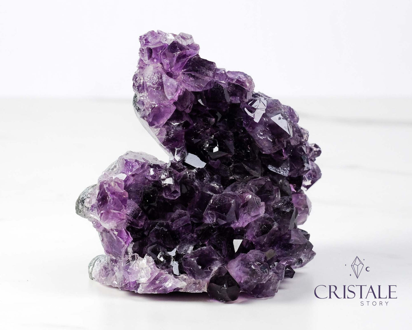 Amethyst Squirrel Shaped Cluster #2