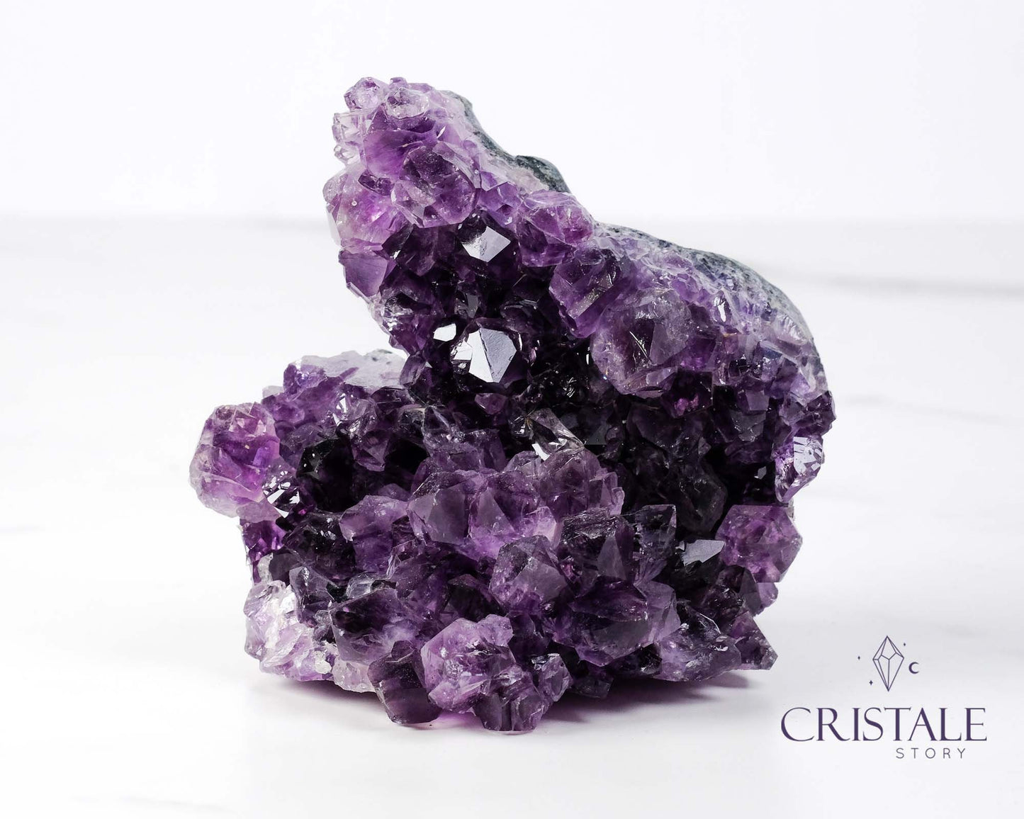 Amethyst Squirrel Shaped Cluster #2