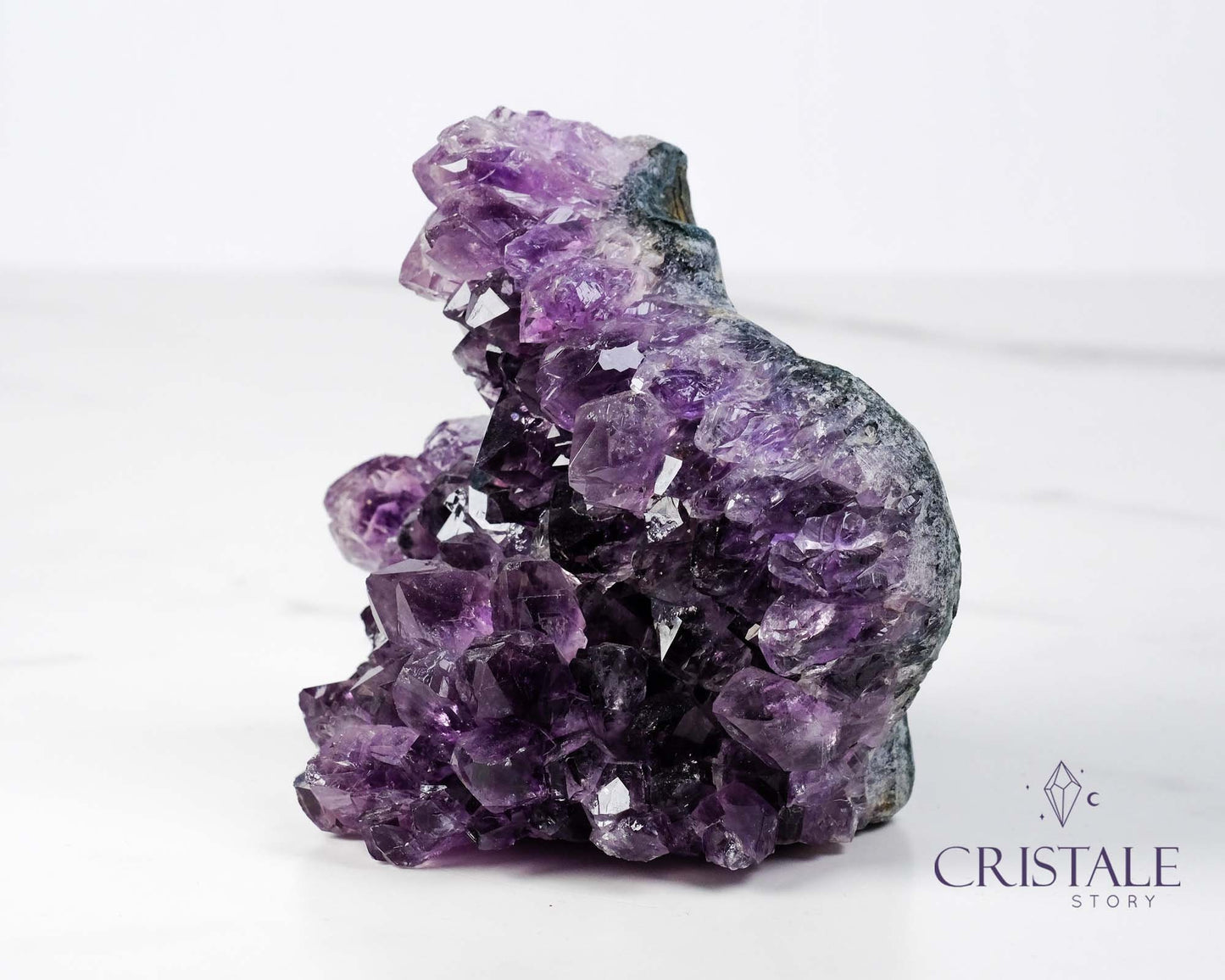 Amethyst Squirrel Shaped Cluster #2