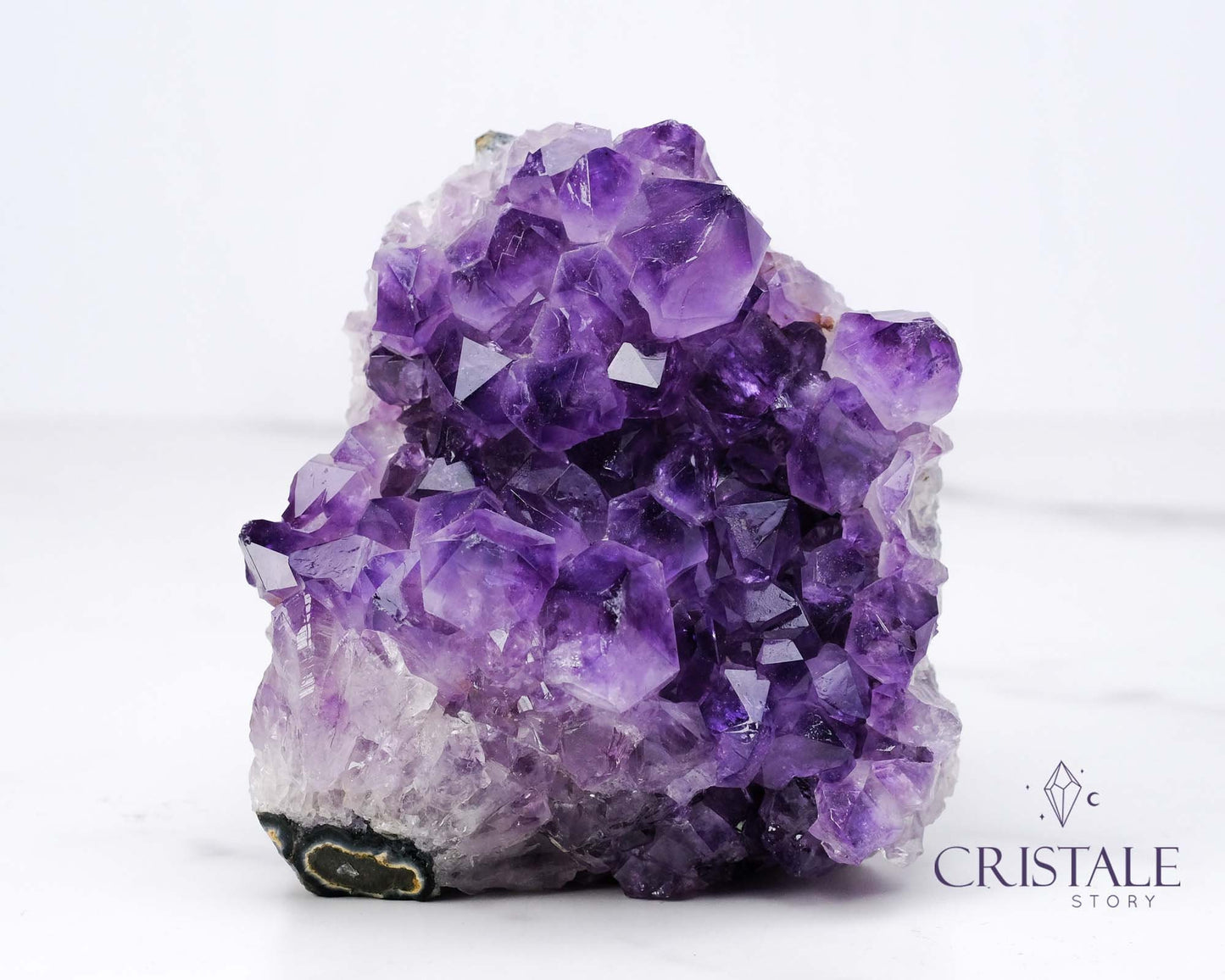 Amethyst Squirrel Shaped Cluster #1