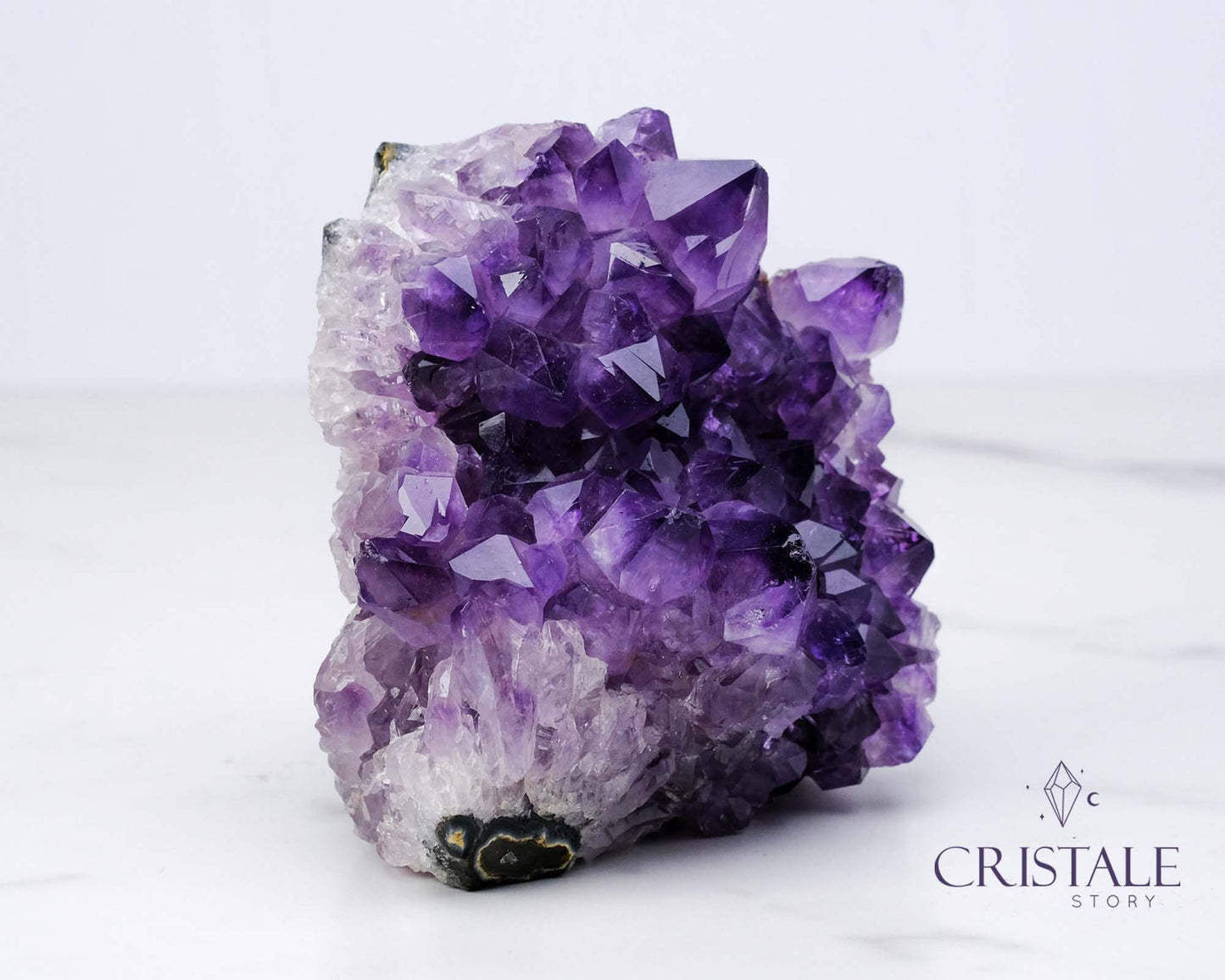 Amethyst Squirrel Shaped Cluster #1