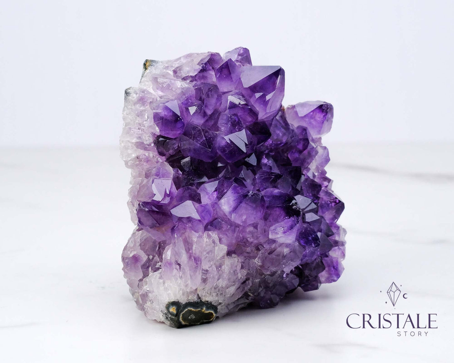 Amethyst Squirrel Shaped Cluster #1