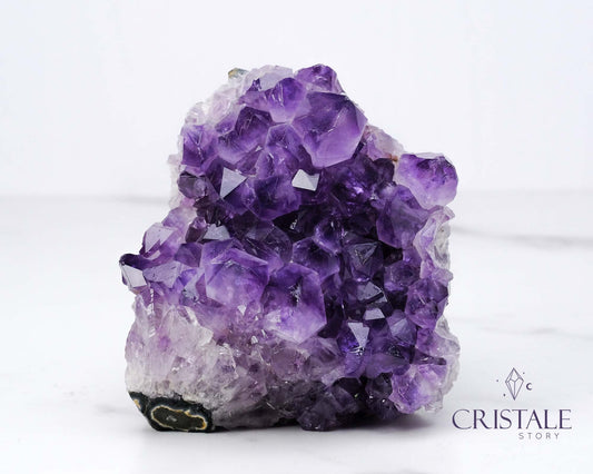 Amethyst Squirrel Shaped Cluster #1